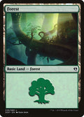 Image for Forest (038) (38) (Zendikar vs. Eldrazi) - Magic: The Gathering