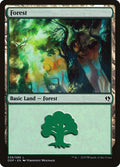 Image for Forest (039) (39) (Zendikar vs. Eldrazi) - Magic: The Gathering