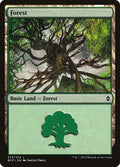 Image for Forest (273) (273) (Battle for Zendikar) - Magic: The Gathering