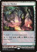 Image for Fire-Lit Thicket (29) (Zendikar Expeditions) - Magic: The Gathering