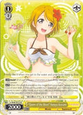Image for "Queen of the Shore" Hanayo Koizumi (LL/W36-TE12 TD) (Love Live! Vol. 2) - Weiss Schwarz