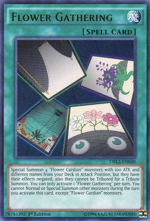 Image for Flower Gathering (DRL3-EN040) (DRL3) - YuGiOh