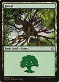 Image for Forest (034) (34) (Nissa vs. Ob Nixilis) - Magic: The Gathering