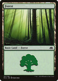 Image for Forest (151) (151) (Planechase Anthology) - Magic: The Gathering