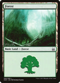 Image for Forest (065) (65) (Mind vs. Might) - Magic: The Gathering
