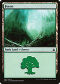 Image for Forest (319) (319) (Commander Anthology) - Magic: The Gathering