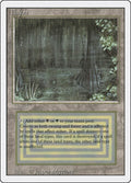 Image for Bayou (Revised Edition) - Magic: The Gathering