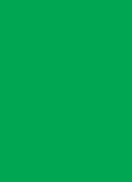 Image for Double Matte Sleeve - Green (50-Pack) - Card Sleeves