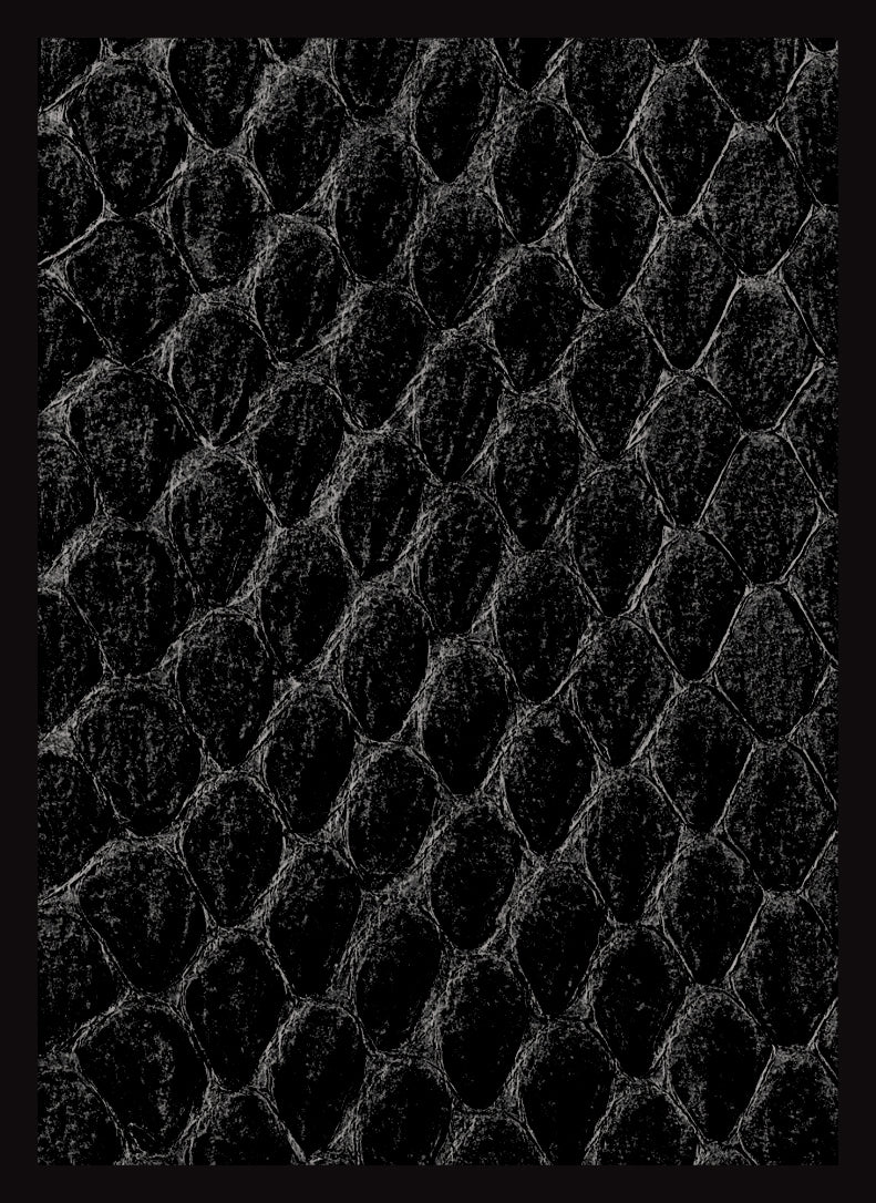 Image for Gloss Sleeve - Dragon Hide Black (50-Pack) - Card Sleeves