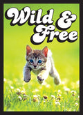 Image for Gloss Small Sleeve - Kitten (60-Pack) - Card Sleeves