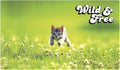 Image for Rubber Playmat - Kitten - Playmats