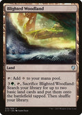 Image for Blighted Woodland (235) (Commander 2017) - Magic: The Gathering