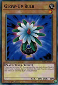 Image for Glow-Up Bulb (SDCL-EN021) (SDCL) - YuGiOh