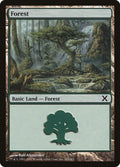 Image for Forest (382) (382) (10th Edition) - Magic: The Gathering