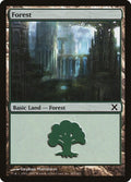 Image for Forest (383) (383) (10th Edition) - Magic: The Gathering