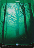 Image for Forest (216) (Unstable) - Magic: The Gathering