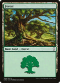 Image for Forest (306) (306) (Commander Anthology Volume II) - Magic: The Gathering