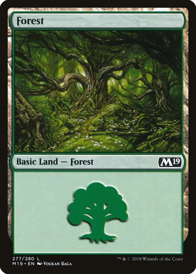 Image for Forest (277) (277) (Core Set 2019) - Magic: The Gathering