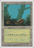 Image for Forest (A) (177) (Fourth Edition) - Magic: The Gathering