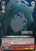 "Guardian" Archer of Red (APO/S53-TE06 TD) (Fate/Apocrypha)