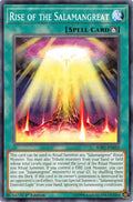 Image for Rise of the Salamangreat (SOFU-EN052) (SOFU) - YuGiOh