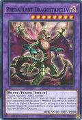 Image for Predaplant Dragostapelia (SOFU-EN094) (SOFU) - YuGiOh