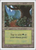Image for Forest (B) (Unlimited Edition) - Magic: The Gathering