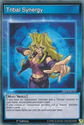 Image for Tribal Synergy (SS02-ENCS3) (SS02) - YuGiOh