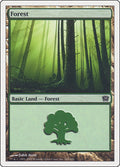 Image for Forest (348) (348) (9th Edition) - Magic: The Gathering