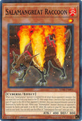 Image for Salamangreat Raccoon (SDSB-EN001) (SDSB) - YuGiOh