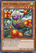 Image for Star Staring Starling (DANE-EN024) (DANE) - YuGiOh