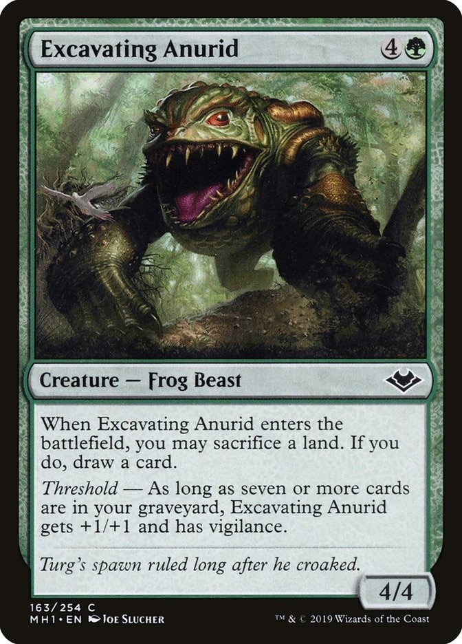 Image for Excavating Anurid (163) (Modern Horizons) - Magic: The Gathering
