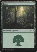 Image for Forest (5) (Core Set 2020) - Magic: The Gathering