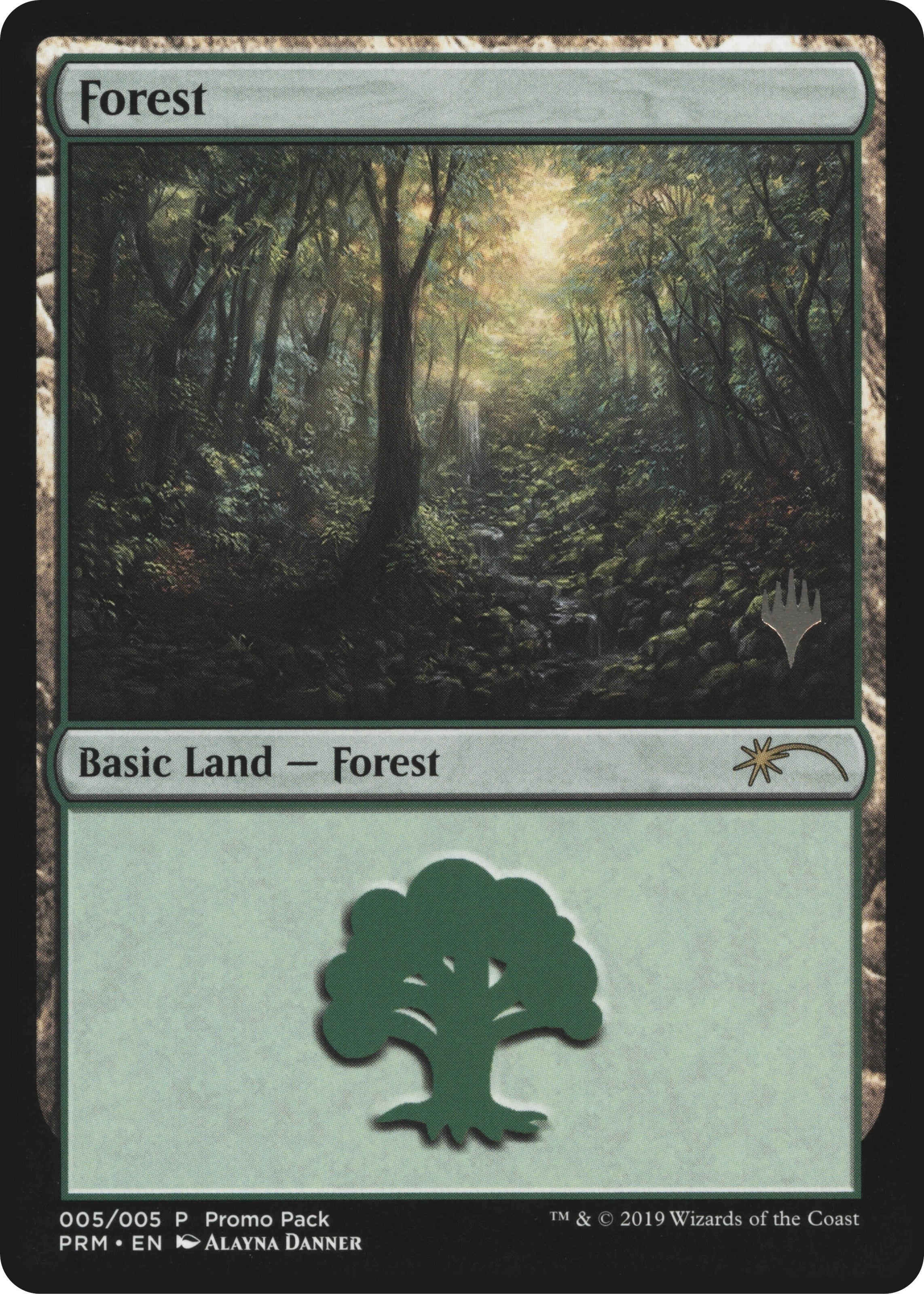 Image for Forest (5) (Core Set 2020) - Magic: The Gathering