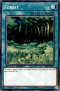 Image for Forest (SS03-ENB17) (SS03) - YuGiOh