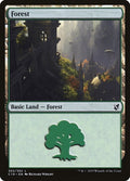 Image for Forest (302) (302) (Commander 2019) - Magic: The Gathering
