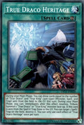 Image for True Draco Heritage (OP11-EN020) (OP11) - YuGiOh