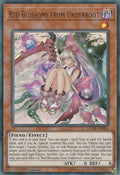 Image for Red Blossoms from Underroot (DUDE-EN006) (DUDE) - YuGiOh