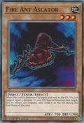 Image for Fire Ant Ascator (LED5-EN030) (LED5) - YuGiOh
