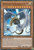 Image for Winged Kuriboh LV10 (AC19-EN023) (AC19) - YuGiOh