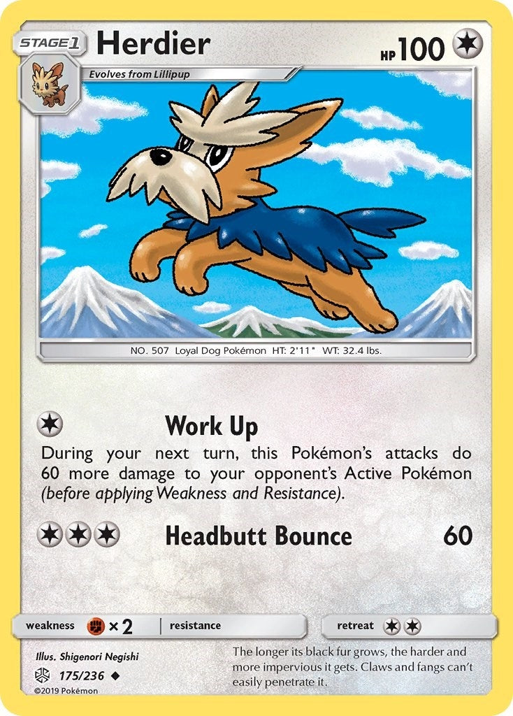 Image for Herdier (175/236) (SM12) - Pokemon