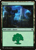 Image for Forest (287) (287) (Theros Beyond Death) - Magic: The Gathering