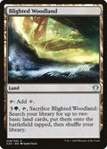 Image for Blighted Woodland (258) (Commander 2020) - Magic: The Gathering