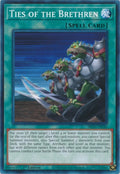 Image for Ties of the Brethren (SR10-EN030) (SR10) - YuGiOh