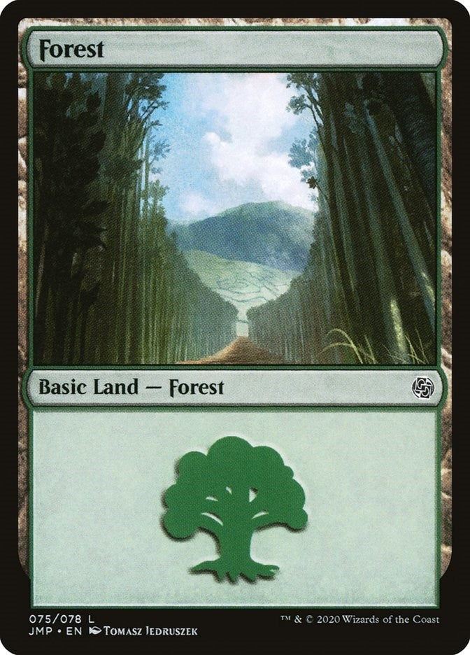 Image for Forest (075) (75) (Jumpstart) - Magic: The Gathering