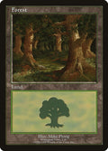 Image for Forest - Nottingham (11) (European Lands) - Magic: The Gathering