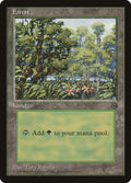 Image for Forest (1996) (Arena Promos) - Magic: The Gathering