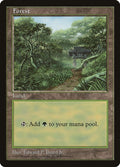 Image for Forest - Clear Pack (Beard, Jr.) (APAC Lands) - Magic: The Gathering