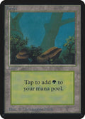 Image for Forest (A) (Alpha Edition) - Magic: The Gathering