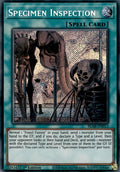 Image for Specimen Inspection (BLAR-EN013) (BLAR) - YuGiOh